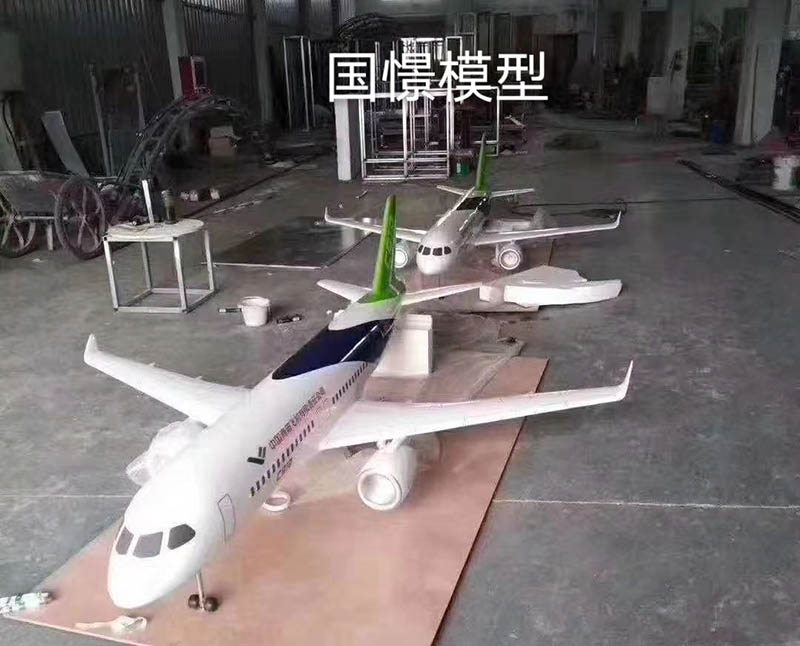 洛川县飞机模型