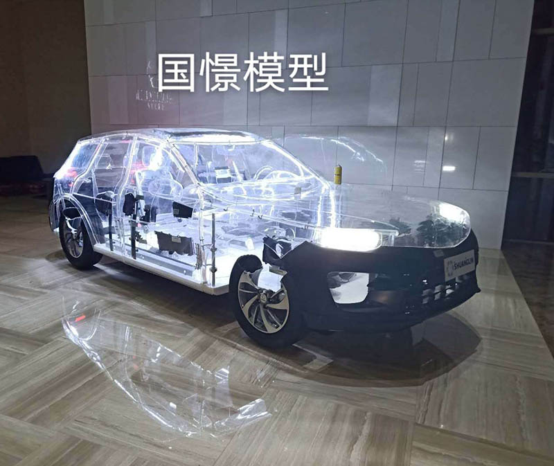 洛川县透明车模型